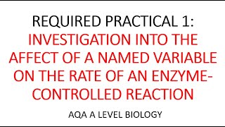 REQUIRED PRACTICAL 1 AS  AQA A LEVEL BIOLOGY [upl. by Berghoff]