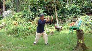 Shibashi  The 18 movements with instruction Tai ChiQigong [upl. by Meill]