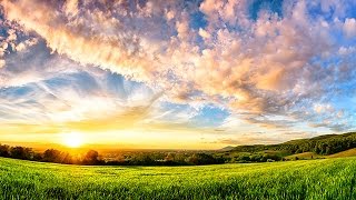 6 Hour Ambient Soundscape Relaxing Nature Summer Sounds  An English Country Meadow [upl. by Ellimac]