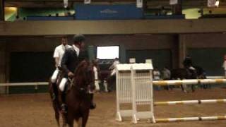 Ludger Beerbaum Couleur Rubin Warm Up [upl. by Ralston]