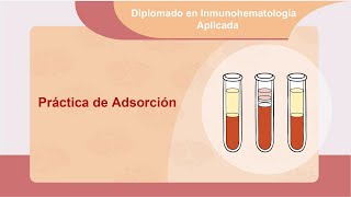 Práctica de Adsorción [upl. by Edie]