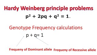 Hardy Weinberg Principle Problems  Genotype Frequency  Allele Frequency [upl. by Senn]