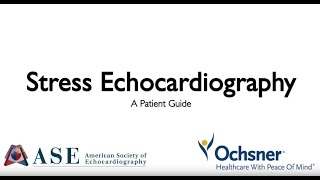 Echocardiogram Aortic Dissection [upl. by Wendall793]