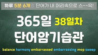 38일차 365일 단어암기습관 [upl. by Angadreme]