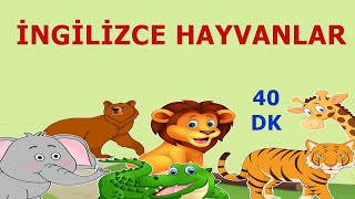 İngilizce Hayvanlar 40 Dk Okul öncesi ve 12 Sınıf [upl. by Jerrome]