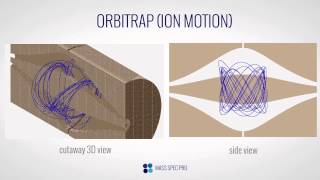 Orbitrap  Ion Motion [upl. by Adikram492]