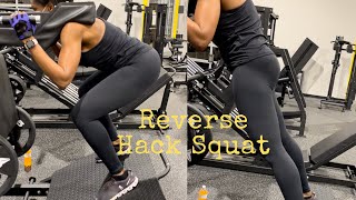 Reverse Hack Squat  A Glute Building Exercise [upl. by Gavette241]