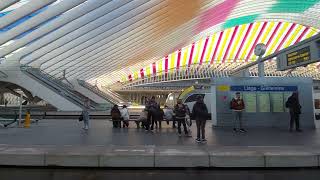 Liège Guillemins station Belgium [upl. by Dorsman563]