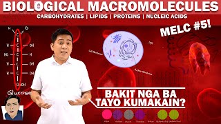 Biological Macromolecules  Carbohydrates Lipids Proteins Nucleic Acids  ScienceKwela [upl. by Amity836]