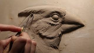 Kellie Pereira  Cardinal Portrait Bas Relief Sculpture Process  Instructional Video [upl. by Acitel]