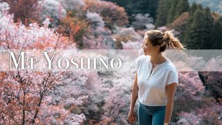 Mt Yoshino in Cherry Blossom Season [upl. by Atikin]