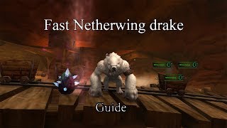 Fast Exalted Netherwing Drakes Guide [upl. by Asiar]