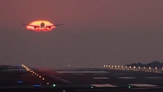 阿蘇くまもと空港夕陽の奇跡 全国から航空マニア大挙集結 The setting sun and Asokumamoto airport [upl. by Dnarb48]