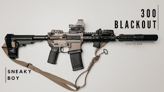 300 AAC Blackout  The Quietest Gun I Own [upl. by Orvie]