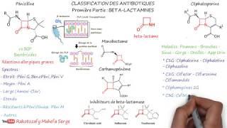 CLASSIFICATION DES ANTIBIOTIQUES  Première Partie  BETALACTAMINES [upl. by Einnaej60]