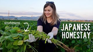 My Japanese Farm Homestay Experience 🌾 [upl. by Atterbury]