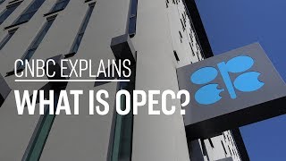 What is OPEC  CNBC Explains [upl. by Burrus266]