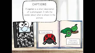 Nonfiction Text Features [upl. by Puduns]