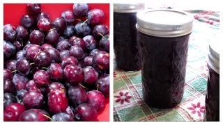 How to make Plum Jam  Canning Done Easy [upl. by Radmilla]