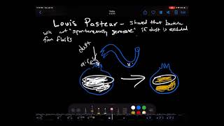 Louis Pasteur and disproving spontaneous generation [upl. by Yodlem12]