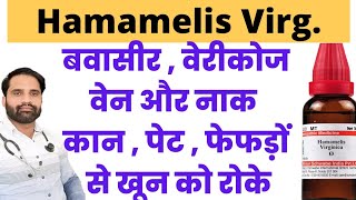 Hamamelis virginica 200 ch  Hamamelis 30 homeopathic medicine  Hamamelis q uses in hindi [upl. by Ayo]