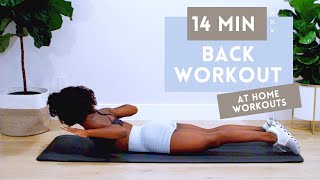 20 min LOWER BODY WORKOUT NO EQUIPMENT  Legs Workout at Home [upl. by Elodia]