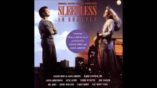 SLEEPLESS IN SEATTLE 1993 – Official Extended Preview HD [upl. by Aime117]