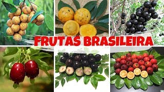 11 Espécies de Frutas nativas do Brasil [upl. by Winston]