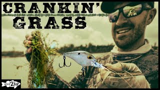 How to Fish Crankbaits for Bass in Grass Lakes [upl. by Ahsienar]