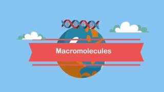 MacromoleculesA Beginners Guide [upl. by Trebor]