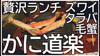 【かに道楽】かに食べ比べズワイ蟹・タラバ蟹・毛蟹kanidouraku [upl. by Edlyn]