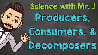 Producers Consumers and Decomposers  Ecosystems [upl. by Nirac344]