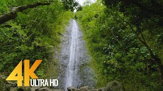 Gorgeous Waterfalls in 4K 60fps 2160p  Soothing Nature Video for RelaxationOahu Waterfalls 5 HRS [upl. by Alta]