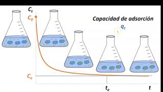 Cómo elaborar una isoterma de adsorción [upl. by Russom]