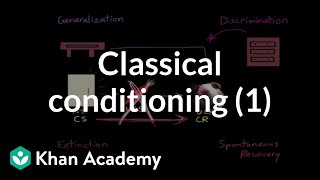 Classical conditioning Extinction spontaneous recovery generalization discrimination [upl. by Ahcsrop845]