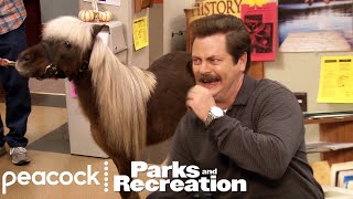 Ron Loves Lil Sebastian  Parks and Recreation [upl. by Sehcaep]