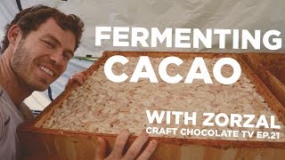 Fermenting Cacao 4 tier cascade system  Episode 21  Craft Chocolate TV [upl. by Neellok539]