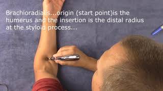 Meridian Pen Electric Acupuncture pen and how it works [upl. by Neerroc]