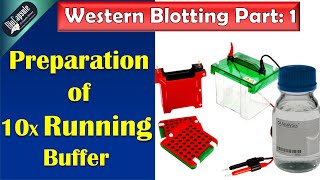 Western Blotting Part 1 10 X running buffer preparation [upl. by Eisac]