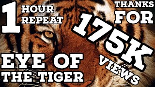 Eye of the Tiger 1 Hour Repeat [upl. by Garnes]