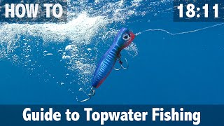 Guide to Topwater Fishing [upl. by Chaffinch]