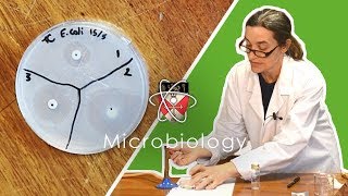 Microbiology  GCSE Science Required Practical Triple [upl. by Triplett207]