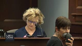 Rosenbaum Trial Day 8 Witness Anne McCullough Dr Stephen Messner Child Abuse Pediatrician [upl. by Dixil]