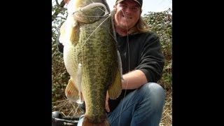 13 pound bass on the Alabama Rig [upl. by Cofsky984]