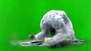 GREEN SCREEN FOOTAGE BIG FOOT YETI ATTACK [upl. by Markland]