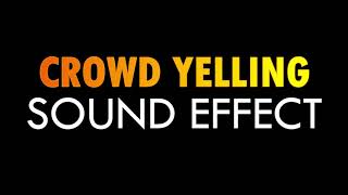 Crowd Yelling Sound Effect  HX Sounds [upl. by Clarette956]