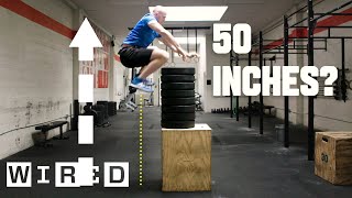 Why Its Almost Impossible to Jump Higher Than 50 Inches  WIRED [upl. by Adni]