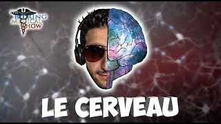 ANATOMIE  LE CERVEAU 🧠 [upl. by Brunell]