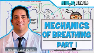 Respiratory  Mechanics of Breathing Pressure Changes  Part 1 [upl. by Eadahc]