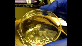 How to prepare a polymer thin film [upl. by Shriver]